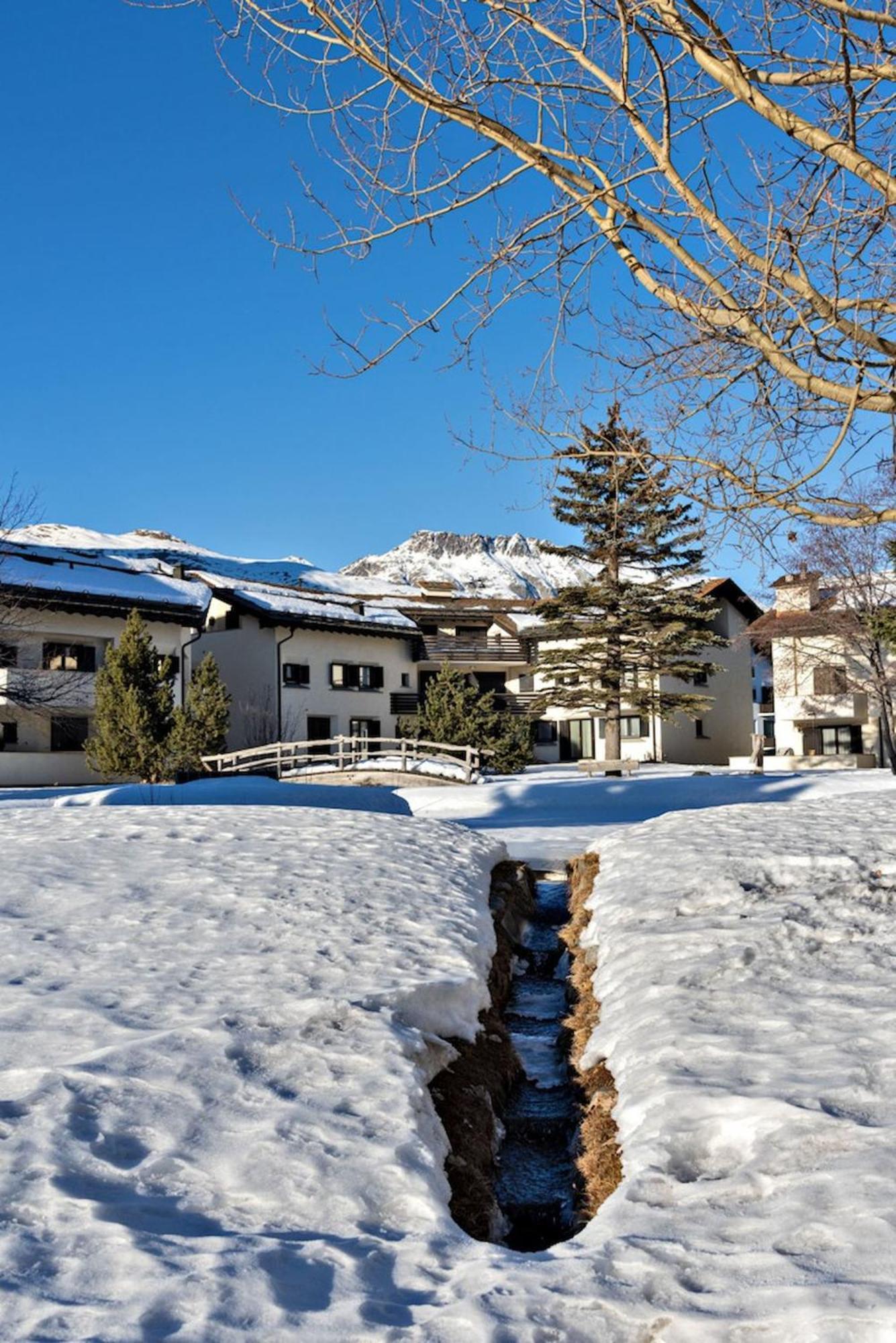 Apartment Chesa Chavriol - Celerina Celerina/Schlarigna